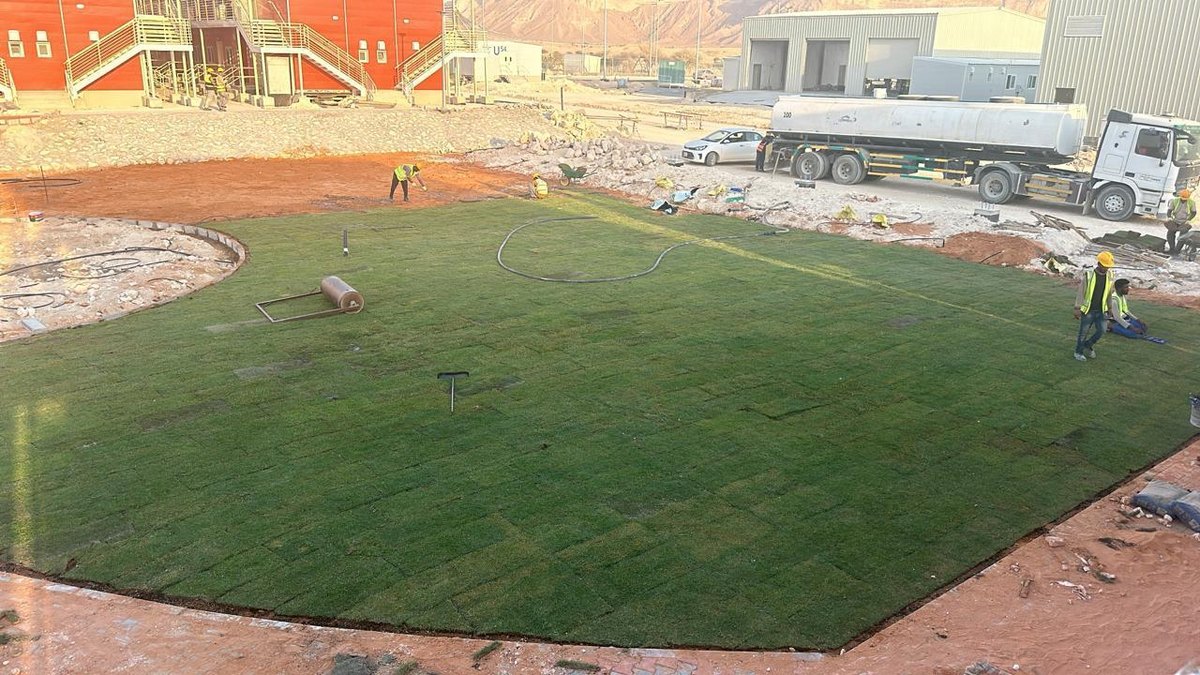 Workers installing turf at a Qiddiyah camp landscape area